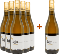 Pack descuento 5+1 Biu Riesling Costers del Segre DO