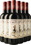 Pack descuento Adhuc Tempus Roble Ribera del Duero DO