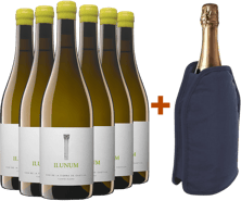 Pack Descuento Ilunum Blanco Castilla VT + (regalo funda enfriadora)