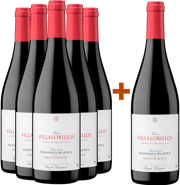 Pack descuento 5+1 Pampana Blanca Castilla VT