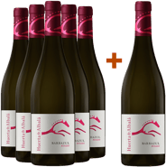 Pack descuento 5+1 Barbazul Rosado Cadiz VT