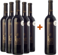 Pack Descuento 5+1 Robatié Reserva Rioja DOCa