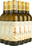 Pack descuento Adhuc Tempus Albariño Rías Baixas DO