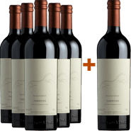 Pack descuento 5+1 Taberner Magnum Cádiz VT