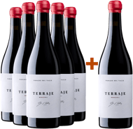 Experiencia Parajes del Valle: Blanco, Maceración, Rosado y Tinto + Tinto Terraje BIO