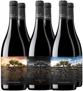 Pack Degustación Proyecto Garnachas