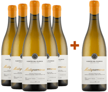 Pack Descuento 5+1 Fuentes del Silencio Mataperezosa Blanco Castilla y León VT