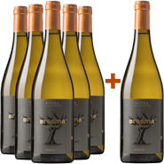 Pack descuento 5+1 Eresma Verdejo Rueda DO