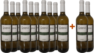 Pack descuento 10+2 Enántico Blanco Viura Rioja DOCa