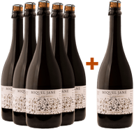 Pack descuento 5+1 Parellada Clàssic Penedès DO BIO BIO