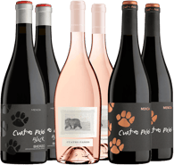 Pack Degustación Cuatro Pasos Bierzo DO