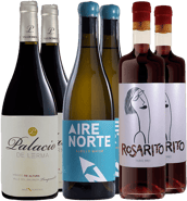 Pack degustación Palacio de Lerma Arlanza DO