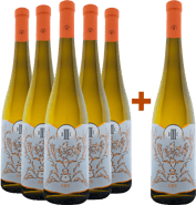 Pack descuento 5+1 Diosa de las 3 cabezas