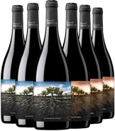 Pack Degustación Proyecto Garnachas