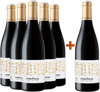 Pack descuento 5+1 Somdinou Tinto Crianza Terra Alta DO BIO