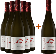 Pack descuento 5+1 Barbazul Tinto Cádiz VT