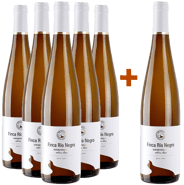 Pack Descuento 5+1 Gewürztraminer Castilla VT BIO