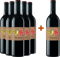 Pack descuento 5+1 Naturelovers Merlot Penedès DO BIO