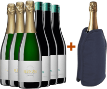 Pack descuento Ilunum Espumoso y Tinto Castilla VT + (regalo funda enfriadora)