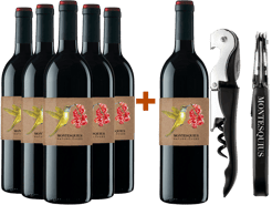 Pack Descuento Naturelovers Merlot Penedès DO 5+1 (+ regalo sacacorcho) BIO
