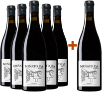 Pack Descuento 5+1 Nanclares Miñato da Raña