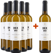 Pack Descuento 5 + 1