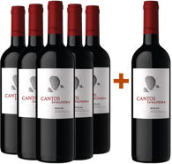 Pack descuento 5+1 Cantos de Valpiedra Rioja DOCa