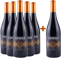 Pack descuento 5+1 Cindus Toro DO