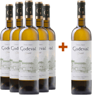 Pack descuento 5+1 Godeval 