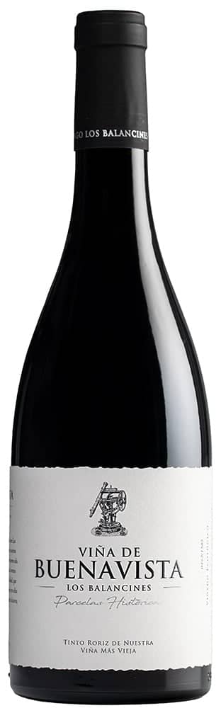 2019 P.H. Viña de Buenavista Extremadura VT