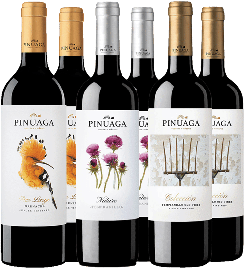 Pack degustación tintos de Pinuaga Castilla VT BIO