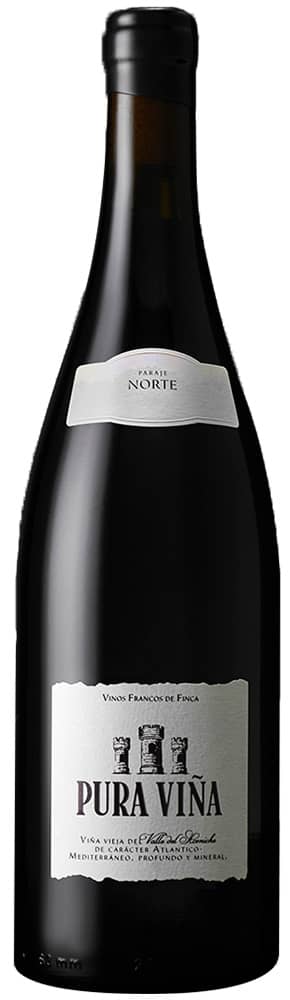2021 Pura Viña Paraje Norte Bullas DO