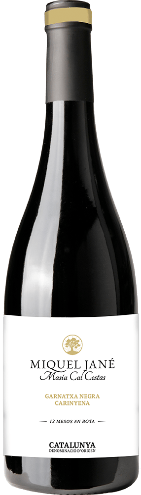 2021 Masía Cal Costas Catalunya DO