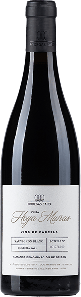 2022 Finca Hoya Mañas Almansa DO BIO