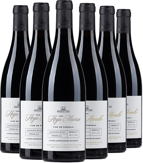 Pack Degustación Blancos Bodegas Cano BIO