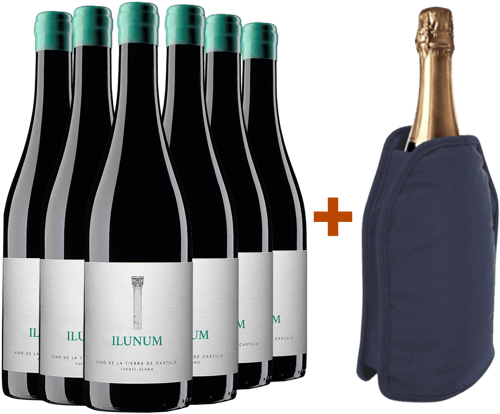 Pack descuento Ilunum Tinto Castilla VT + (regalo funda enfriadora)