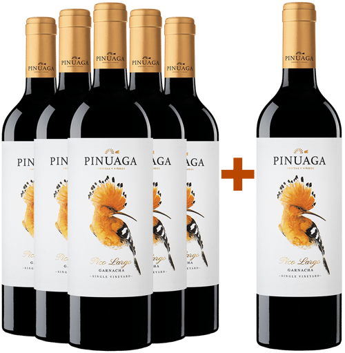 Pack descuento 5+1 Pinuaga Pico Largo Castilla VT BIO