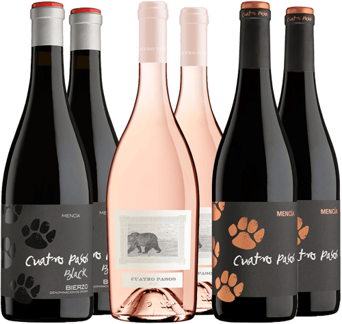 Pack Degustación Cuatro Pasos Bierzo DO