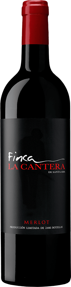 2020 Merlot Navarra DO