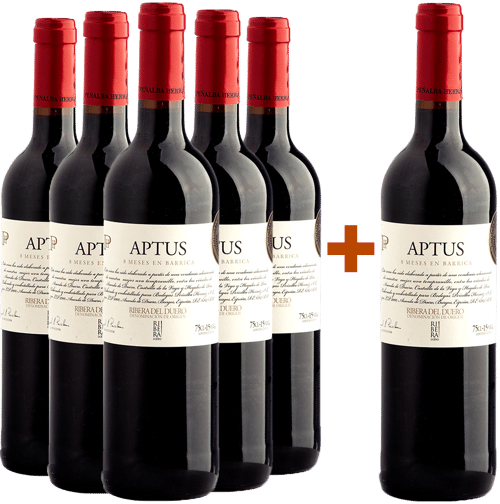Pack descuento 5+1 Aptus Ribera del Duero DO