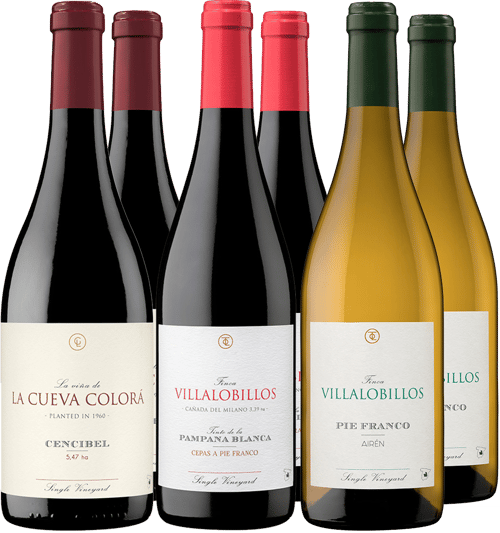 Pack degustación Garcia de Lara Castilla VT