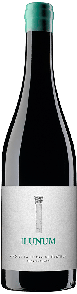2024 Ilunum Tinto Castilla VT