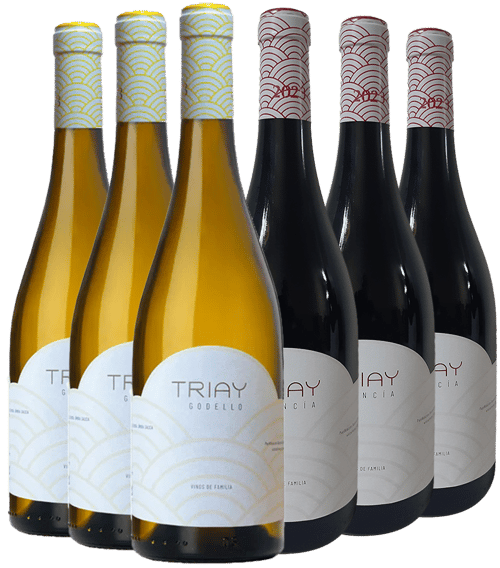 Pack Degustación Bodegas Triay Monterrei DO