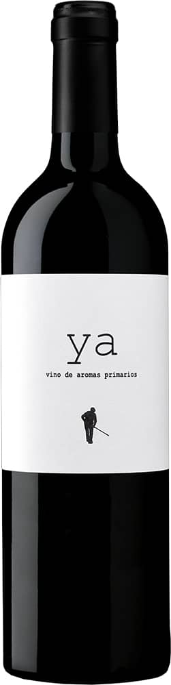 2025 YA Syrah Navarra DO