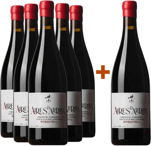 Pack descuento 5+1 Aires de Arriba Monastrell Jumilla DO