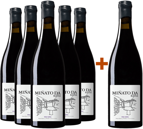 Pack Descuento 5+1 Nanclares Miñato da Raña