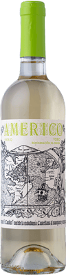 2023 Americo Verdejo Sobre Lías Toro DO