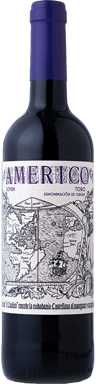 2023 Americo Joven Toro DO