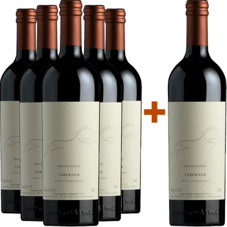 Pack Descuento 5+1 Taberner Magnum Cádiz Vt