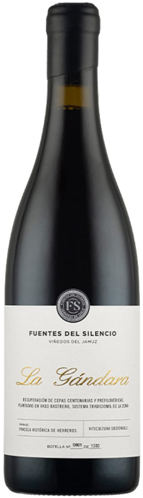 2019 La Gandara Castilla y León VT
